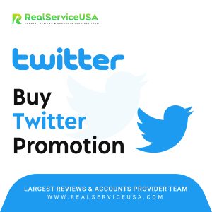 Buy Twitter Promotion